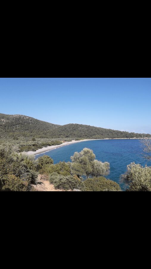 Screenshot_20200627-143157.jpg Screenshot_20200627-143157.jpg