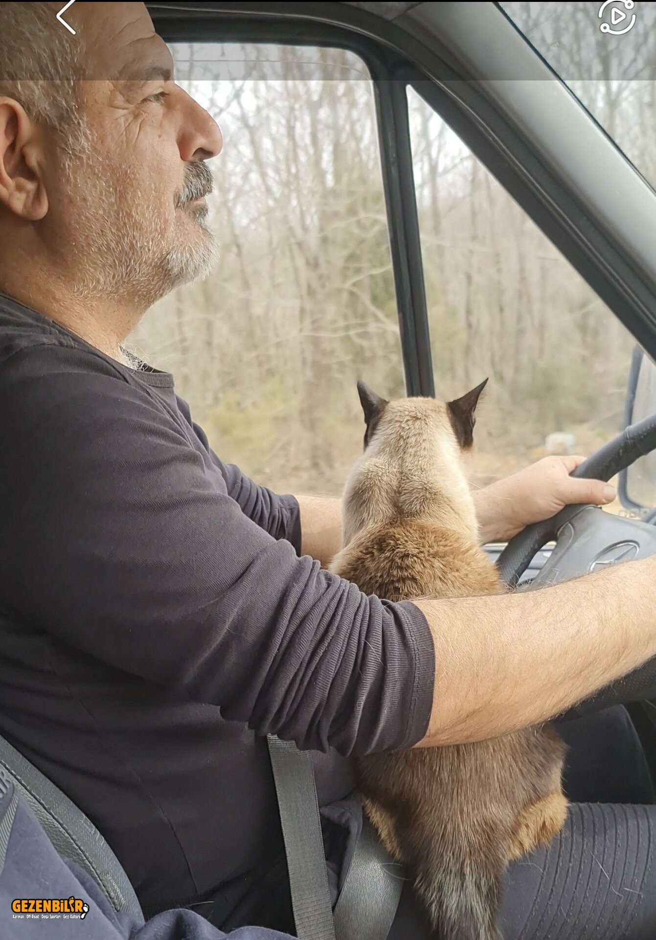 Screenshot_20240227_000516_Gallery.jpg Screenshot_20240227_000516_Gallery.jpg