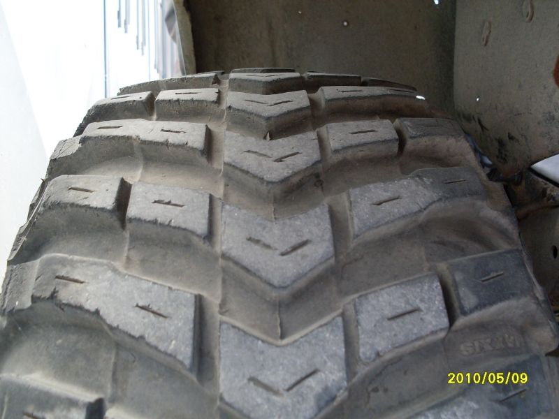 SDC10203.jpg