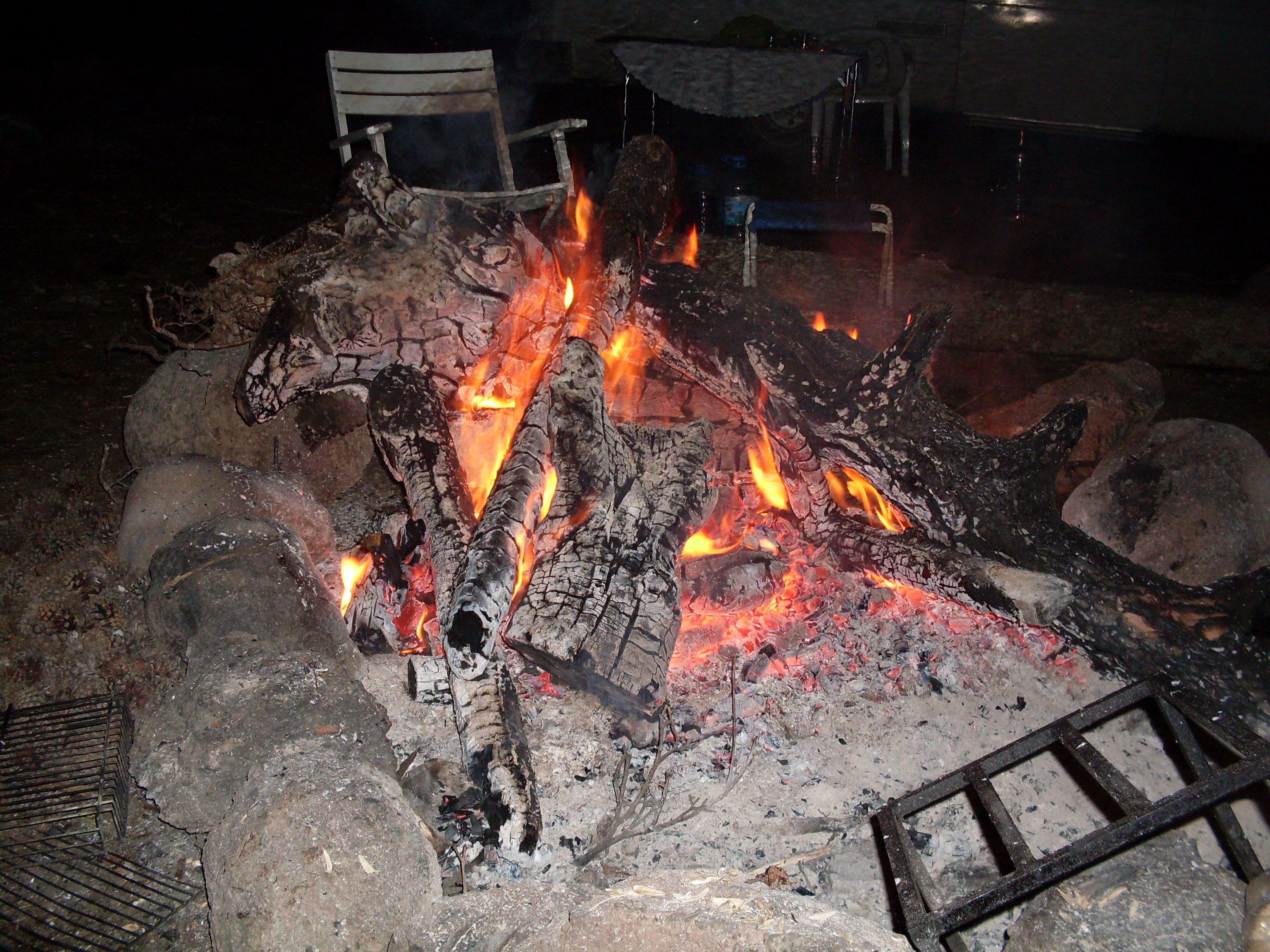 SDC13001.jpg