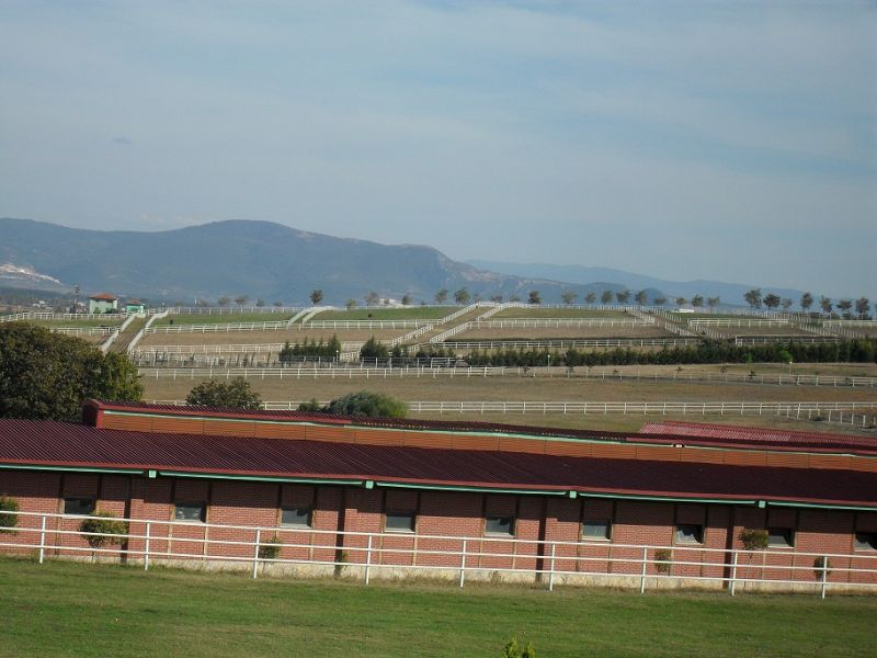 SDC13597.jpg