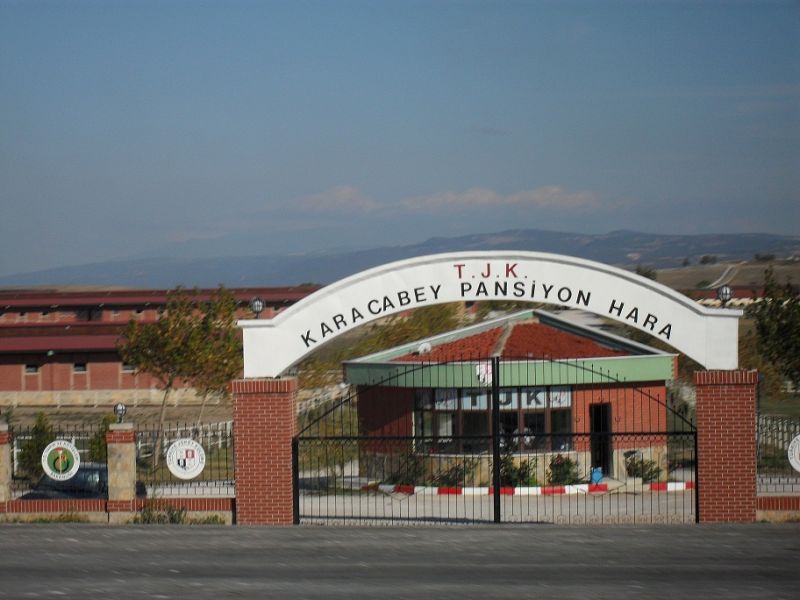 SDC13599.jpg