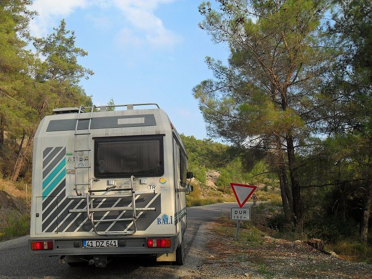 SDC14517.jpg