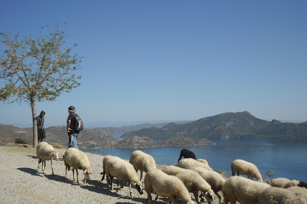 Selimiye tepeleri.JPG