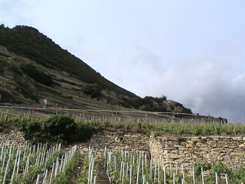 Sion da yer alti GÃƒÂƒÃ‚ÂƒÃƒÂ‚Ã‚Â¶lÃƒÂƒÃ‚ÂƒÃƒÂ‚Ã‚Â¼.jpg