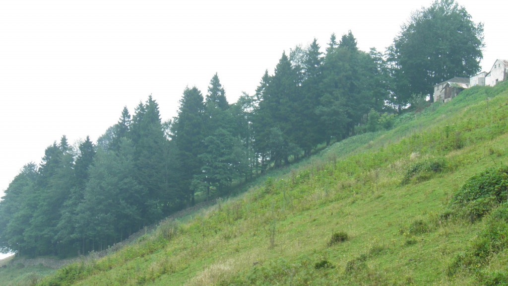 sis daÃƒÂƒÃ‚Â„ÃƒÂ‚Ã‚ÂŸÃƒÂƒÃ‚Â„ÃƒÂ‚Ã‚Â± ve yolu. (55).JPG