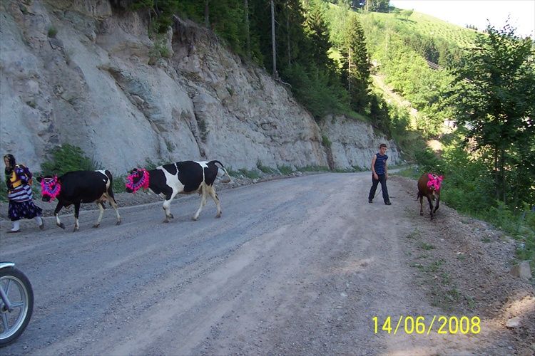 SisdaÃƒÂƒÃ‚Â„ÃƒÂ‚Ã‚ÂŸÃƒÂƒÃ‚Â„ÃƒÂ‚Ã‚Â± yolu.jpg