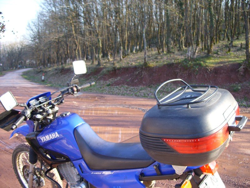 SS850586.JPG