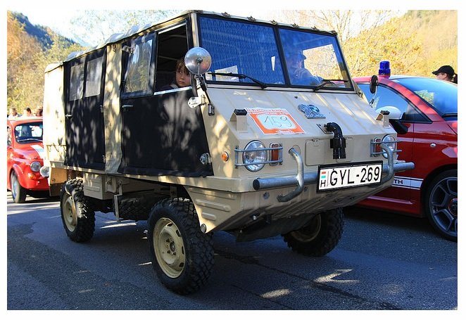 Steyr Puch 1.jpg