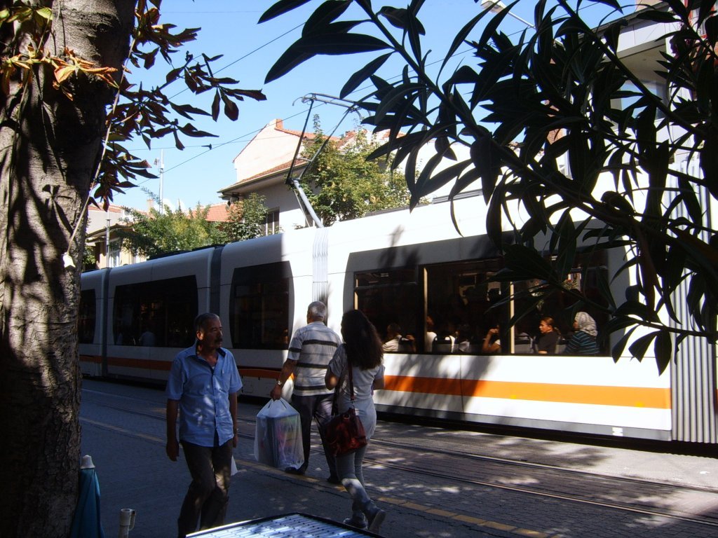 SUC53435.JPG