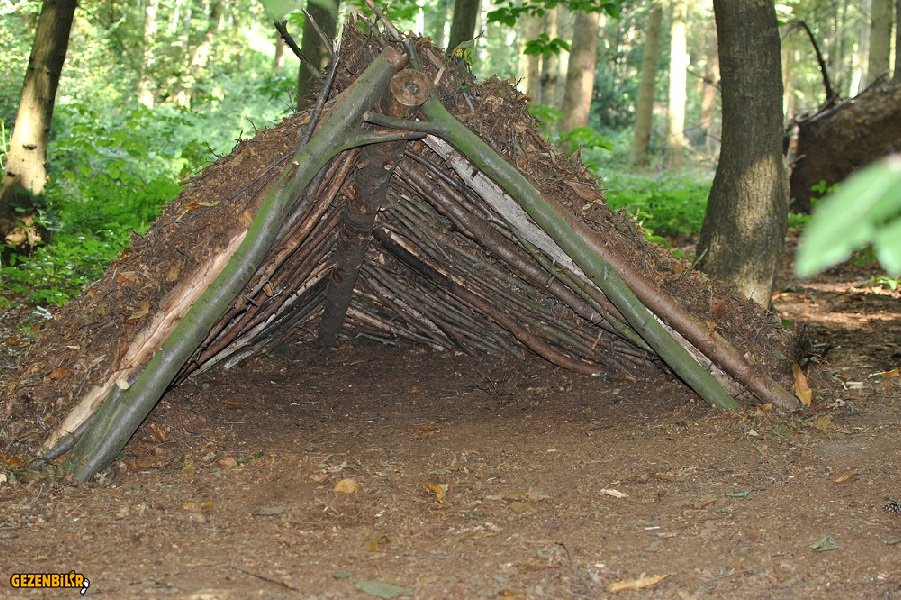 survival-shelter.jpg