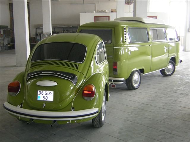 T2 westy arka.jpg