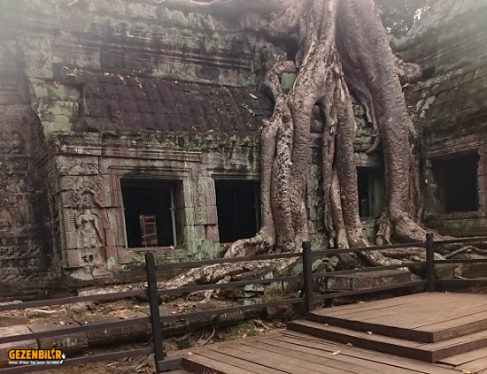 Ta Prohm (4).jpg Ta Prohm (4).jpg