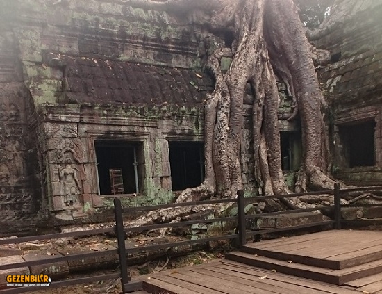 Ta Prohm 4