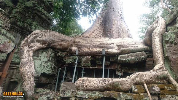 Ta Prohm (5).jpg Ta Prohm (5).jpg