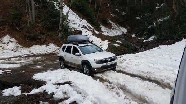 taslak resimler 954.jpg