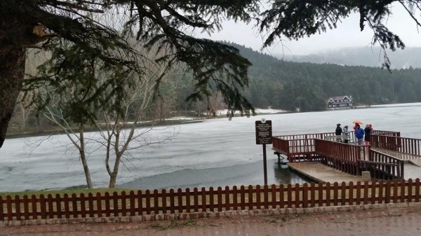 taslak resimler 968.jpg