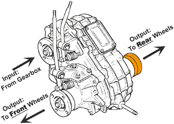 TC-Drawing_Rear.gif