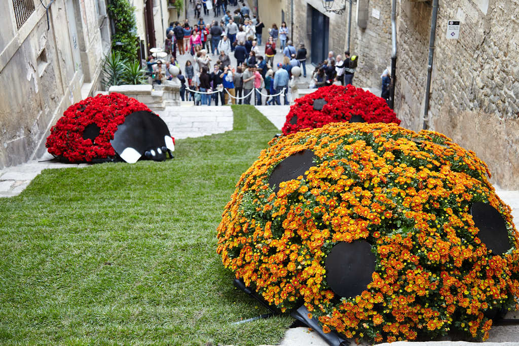 Temps_de_flors_Girona_maig_2013.jpg