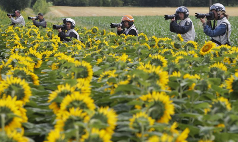 TF 0025 Photographers wait for the pack to pass alongside a field of sunflowers during the stage9 of