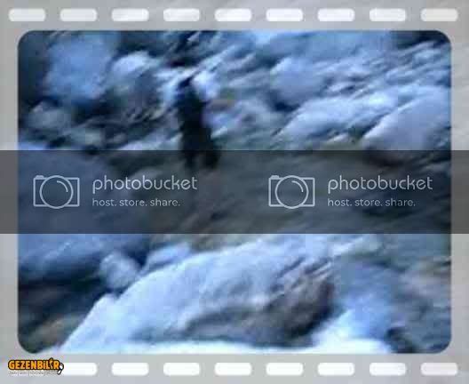 th_MVI_0178.jpg