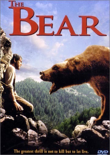 The bear film poster1