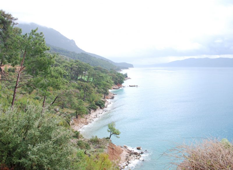 turnalÃƒÂƒÃ‚Â„ÃƒÂ‚Ã‚Â± 114.jpg