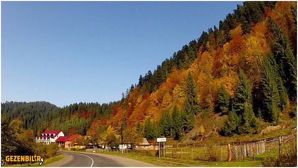 upload_2018-1-20_15-53-28.jpg upload_2018-1-20_15-53-28.jpg