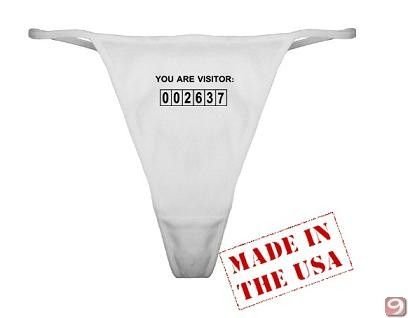 Us visitor number thong
