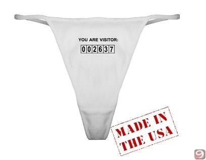 us visitor-number-thong.jpg