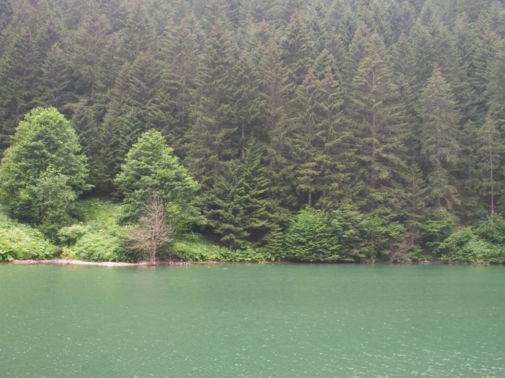 UzungÃƒÂƒÃ‚ÂƒÃƒÂ‚Ã‚Â¶l 1.jpg