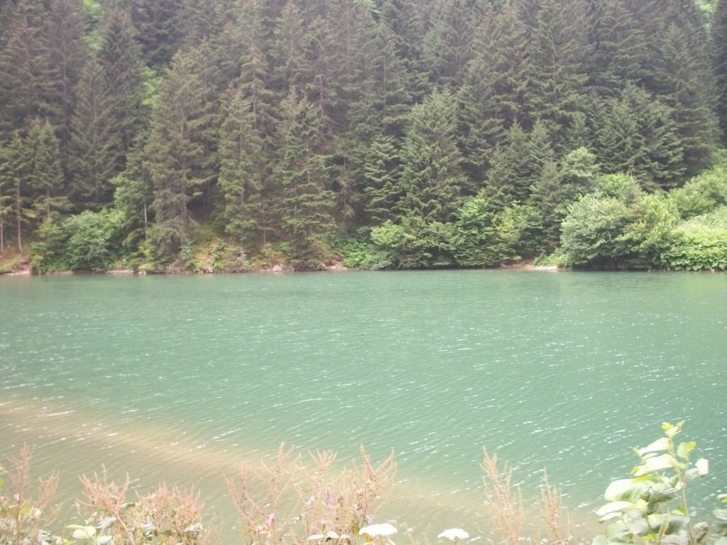 UzungÃƒÂƒÃ‚ÂƒÃƒÂ‚Ã‚Â¶l 2.jpg