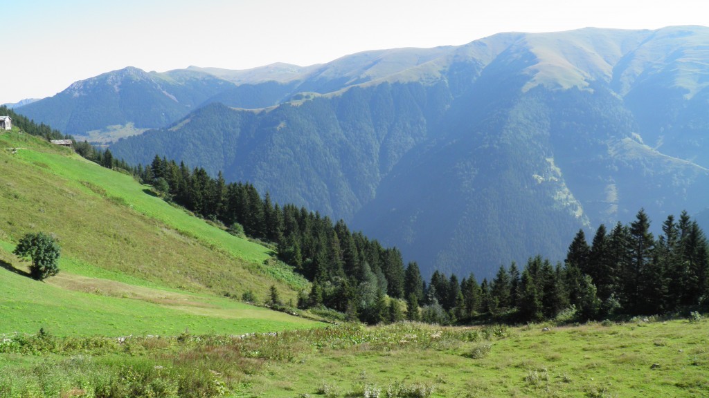 uzungÃƒÂƒÃ‚ÂƒÃƒÂ‚Ã‚Â¶l ve karestel yaylasÃƒÂƒÃ‚Â„ÃƒÂ‚Ã‚Â± (43).JPG