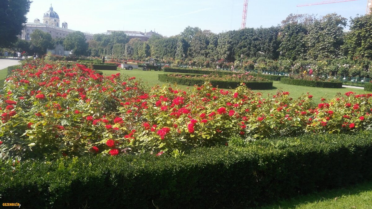 VİYANA AVUSTURYA 30 07 2018 (19).jpg