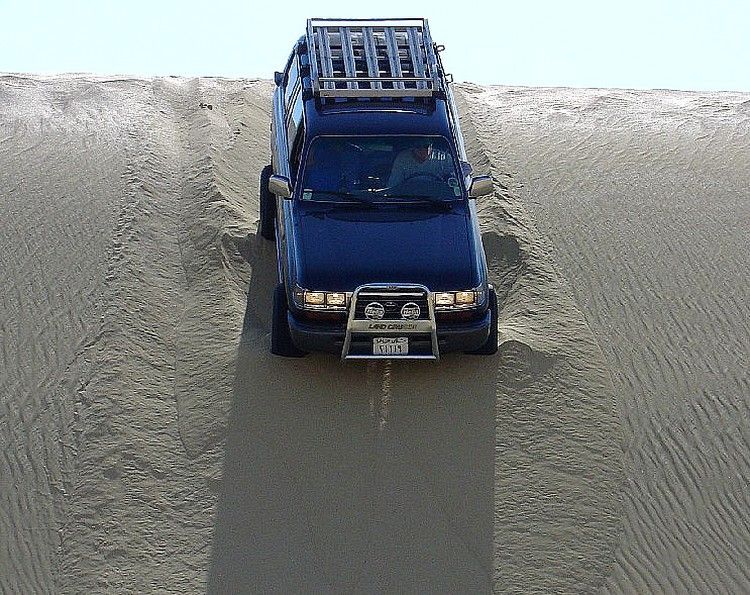 VX 80(438).jpg