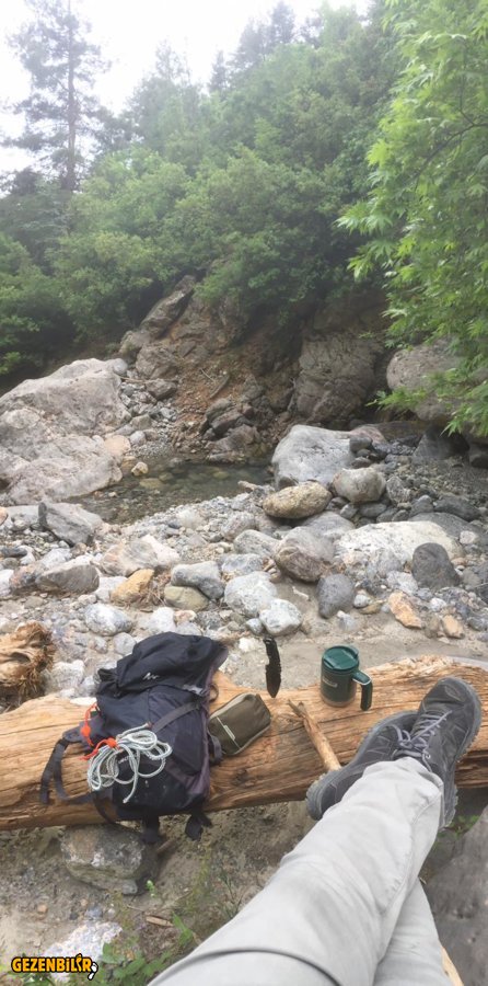 WhatsApp Image 2019-06-17 at 11.56.55(1).jpeg