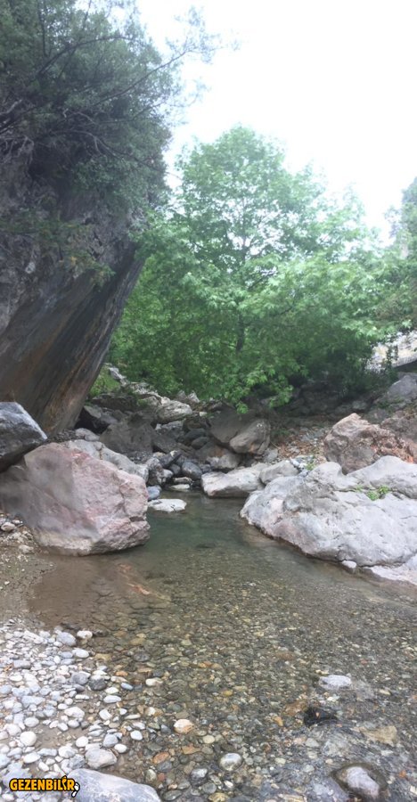 WhatsApp Image 2019-06-17 at 11.56.55(2).jpeg