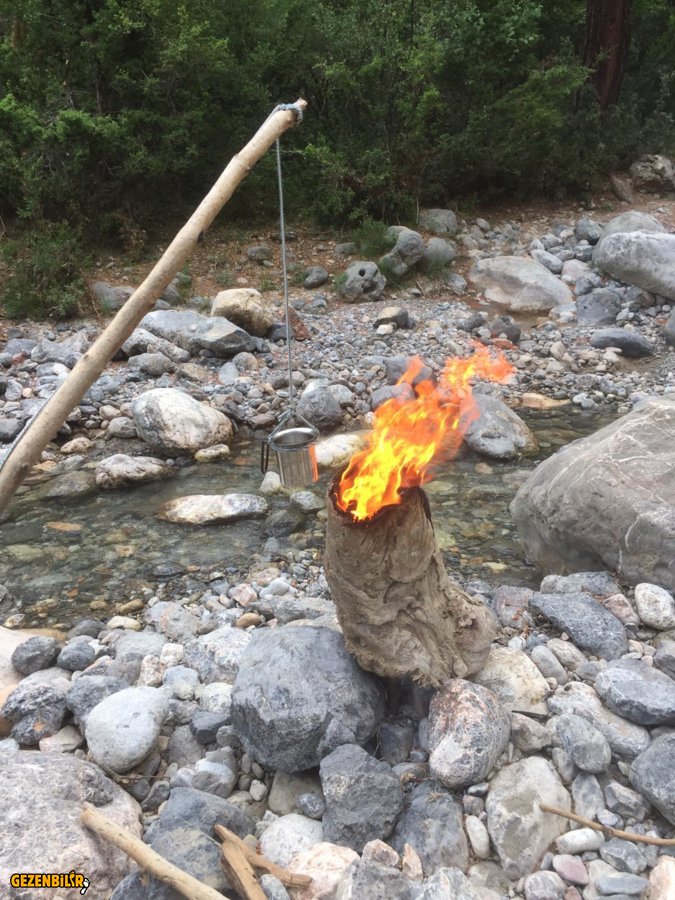 WhatsApp Image 2019-06-17 at 11.56.56(1).jpeg