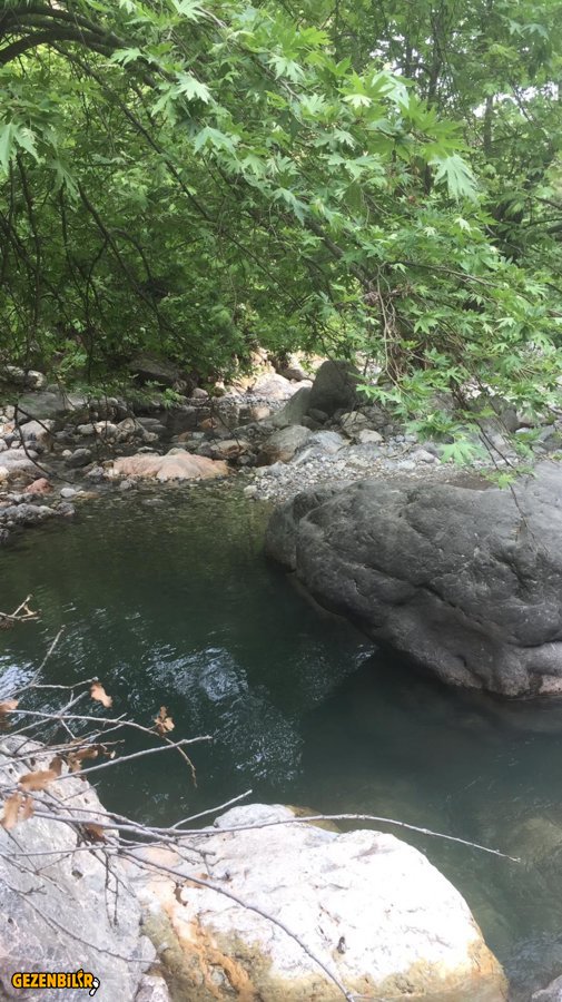 WhatsApp Image 2019-06-17 at 11.56.56.jpeg