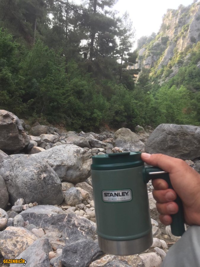 WhatsApp Image 2019-06-17 at 11.56.58(1).jpeg