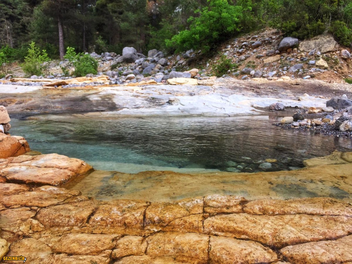 WhatsApp Image 2019-06-17 at 11.56.59.jpeg