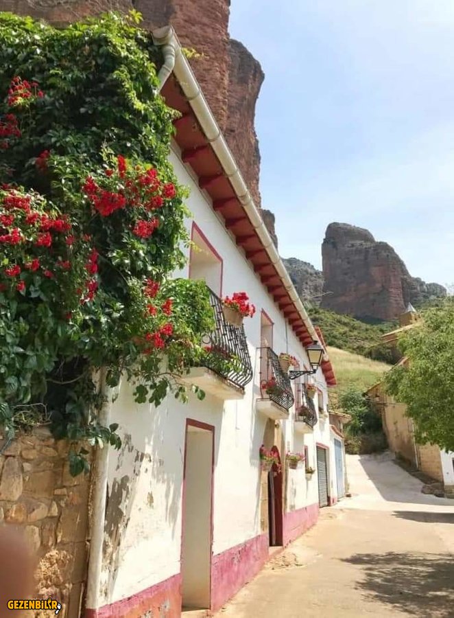 WhatsApp Image 2019-11-05 at 12.47.18.jpeg