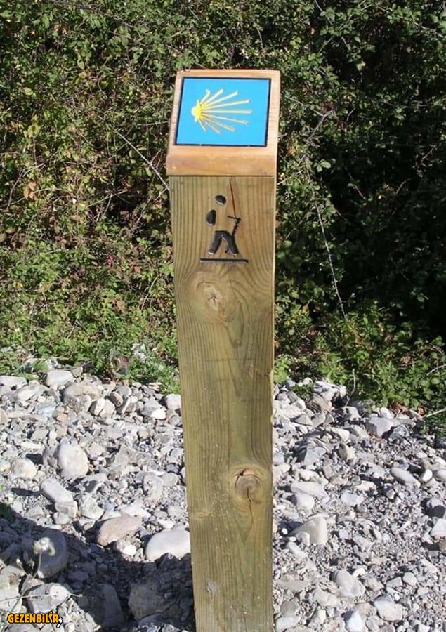 WhatsApp Image 2019-11-05 at 13.04.06.jpeg