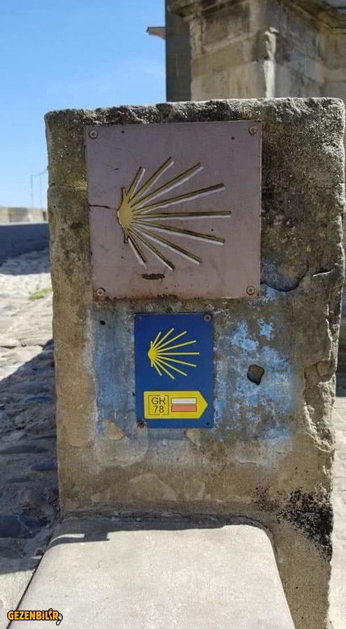 WhatsApp Image 2019-11-05 at 13.04.32.jpeg