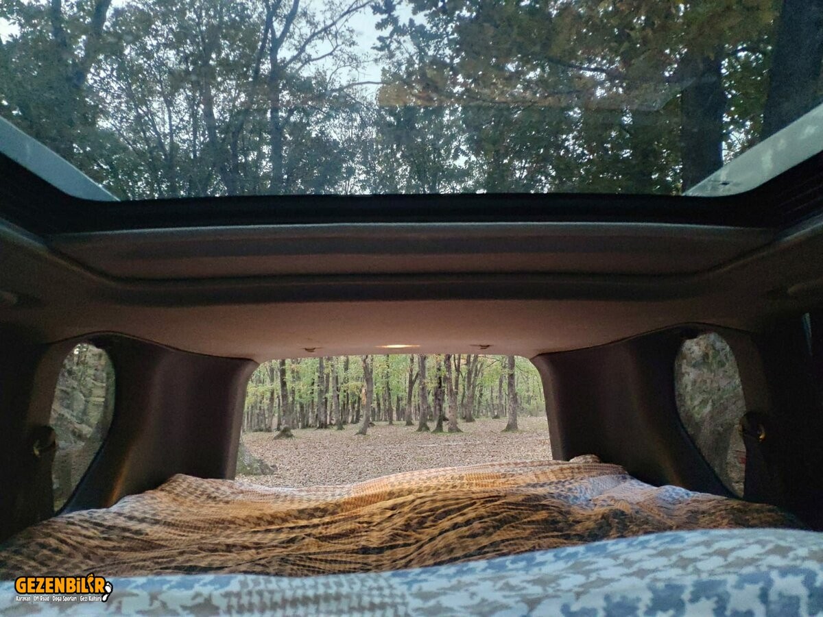 WhatsApp Image 2020-12-25 at 11.22.25 (1).jpeg