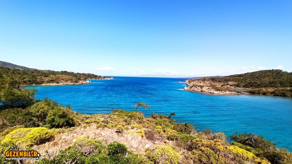 WhatsApp Image 2021-04-20 at 10.57.05.jpeg