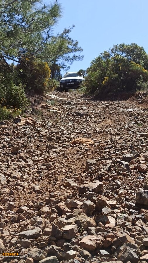 WhatsApp Image 2021-04-20 at 10.58.14.jpeg