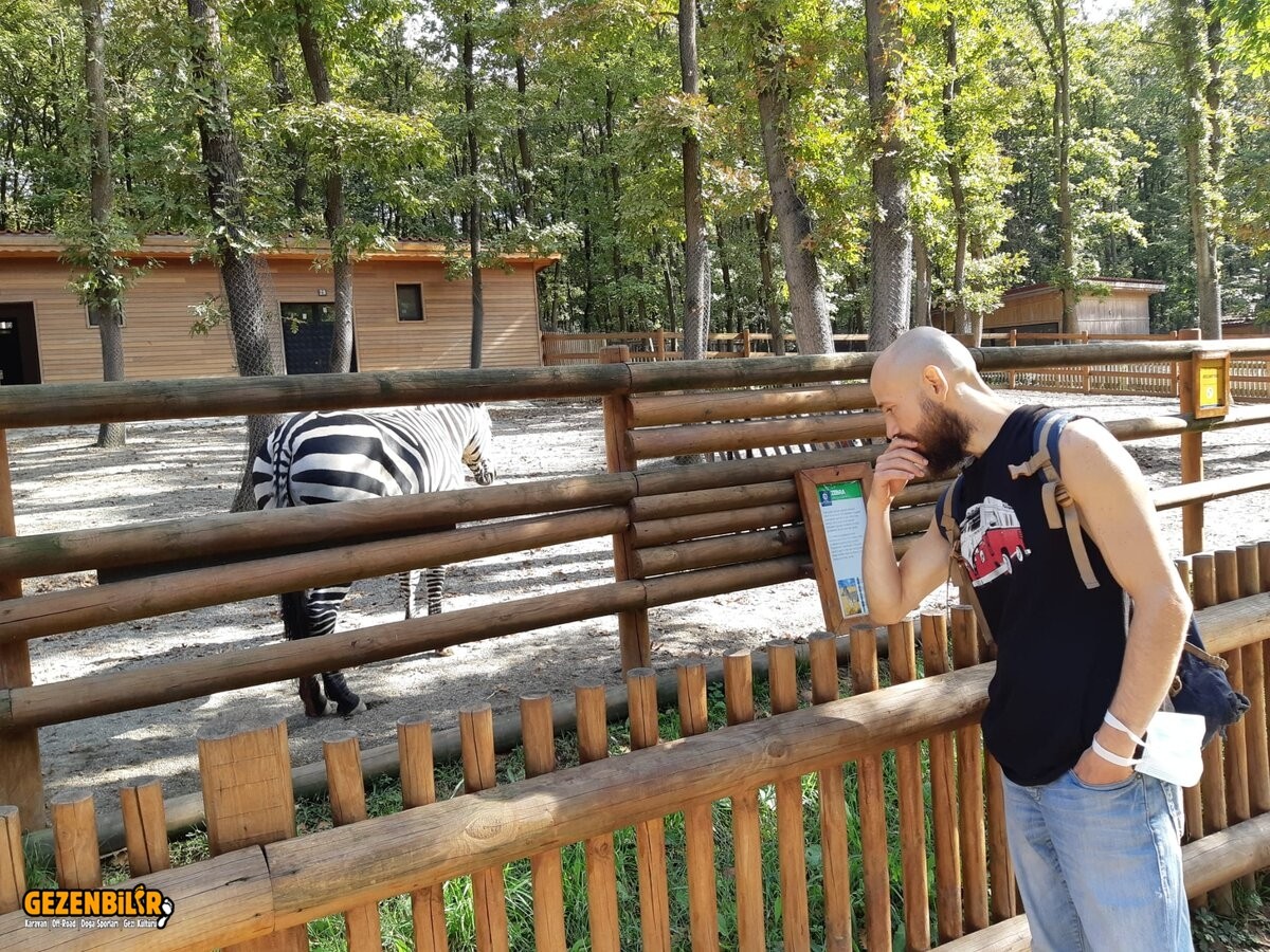 WhatsApp Image 2021-09-18 at 16.02.10.jpeg