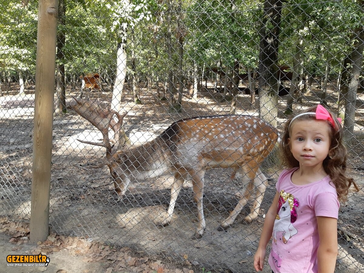 WhatsApp Image 2021-09-18 at 16.02.16.jpeg