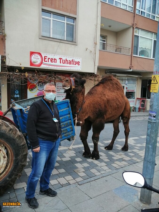 WhatsApp Image 2021-12-17 at 15.35.36.jpeg